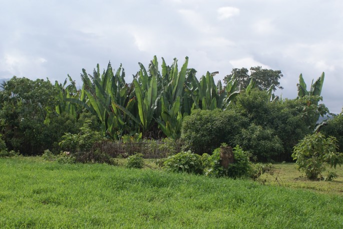 A day in Dorze village