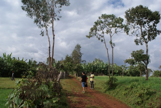 A day in Dorze village