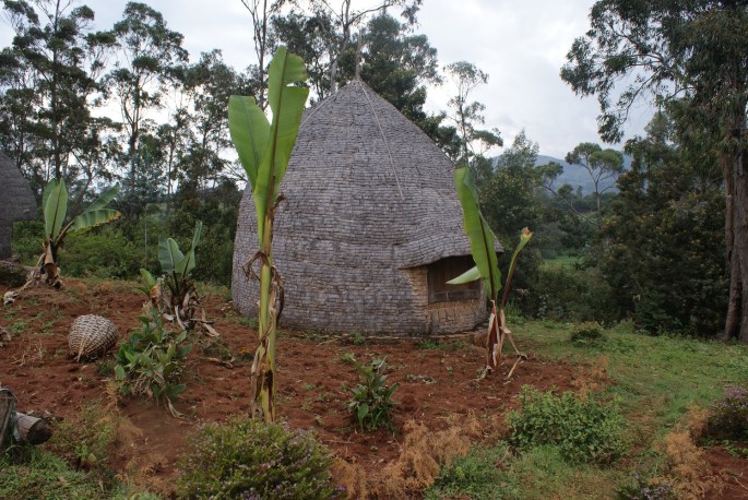 A day in Dorze village