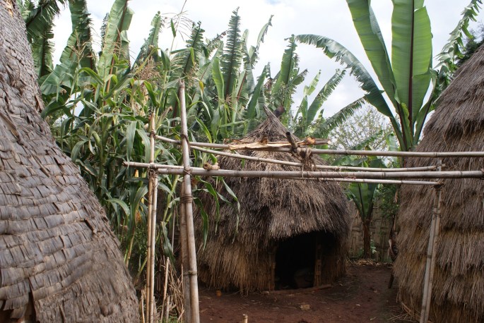 A day in Dorze village