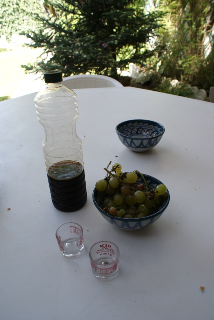 Best Andalucian Wines